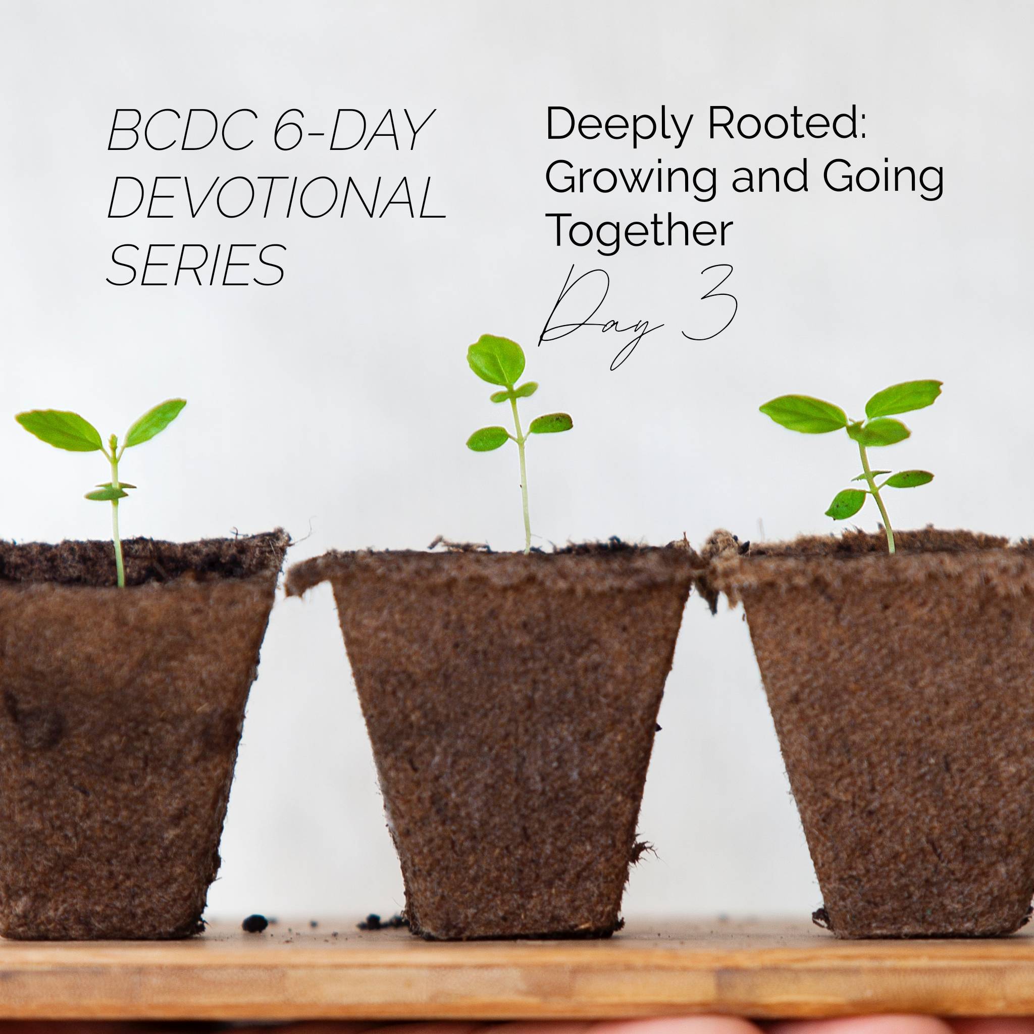 Deeply Rooted Devotional Day 3