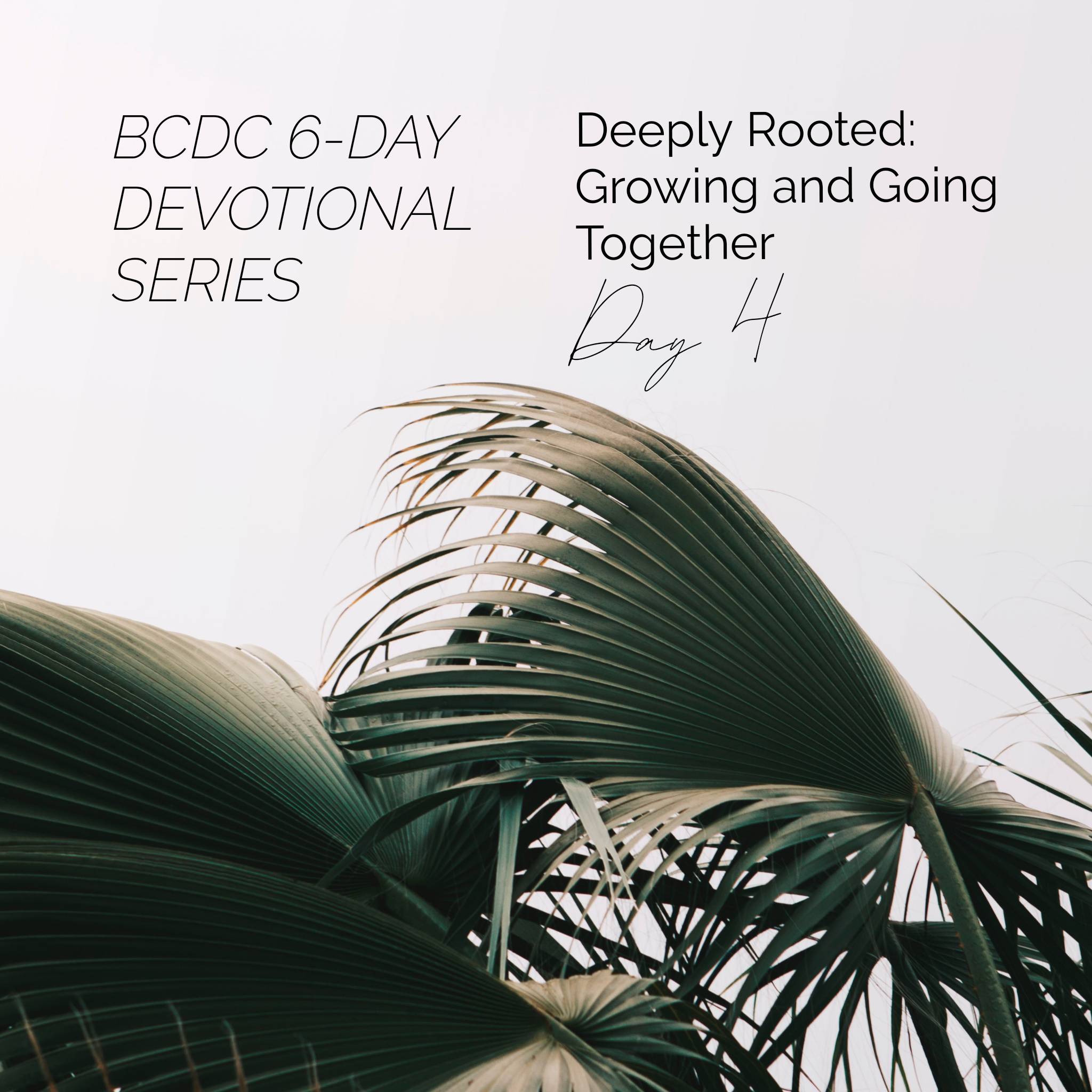Deeply Rooted Devotionals
