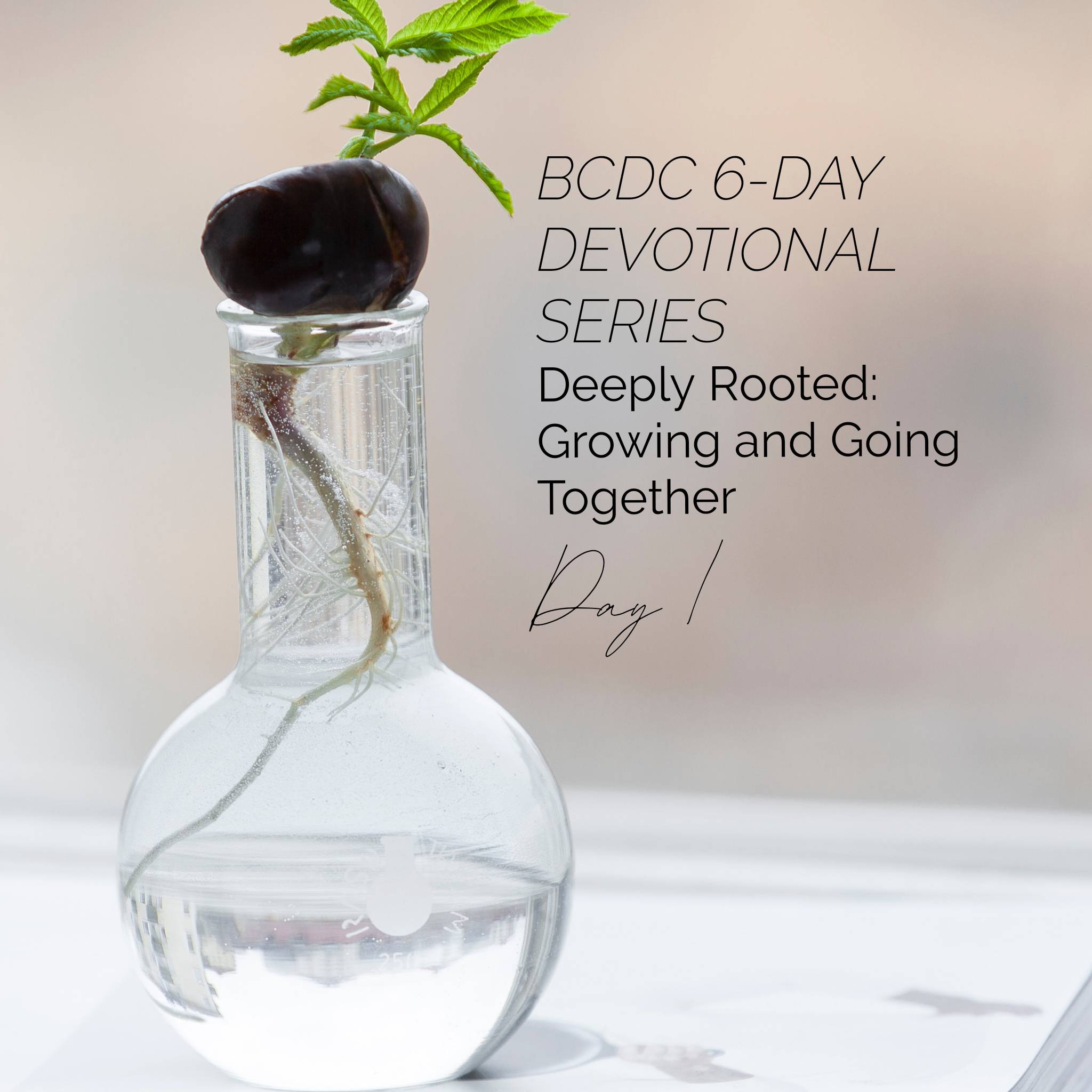 BCDC Devotional Day 1 Deeply Rooted