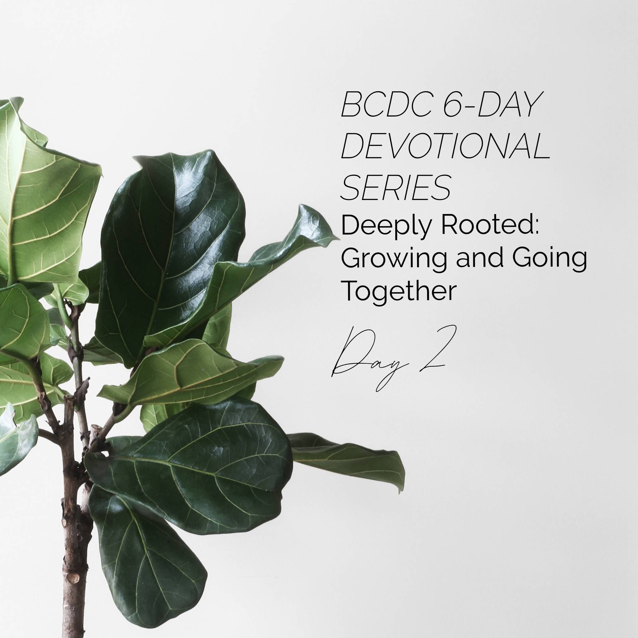 Deeply Rooted Day 2