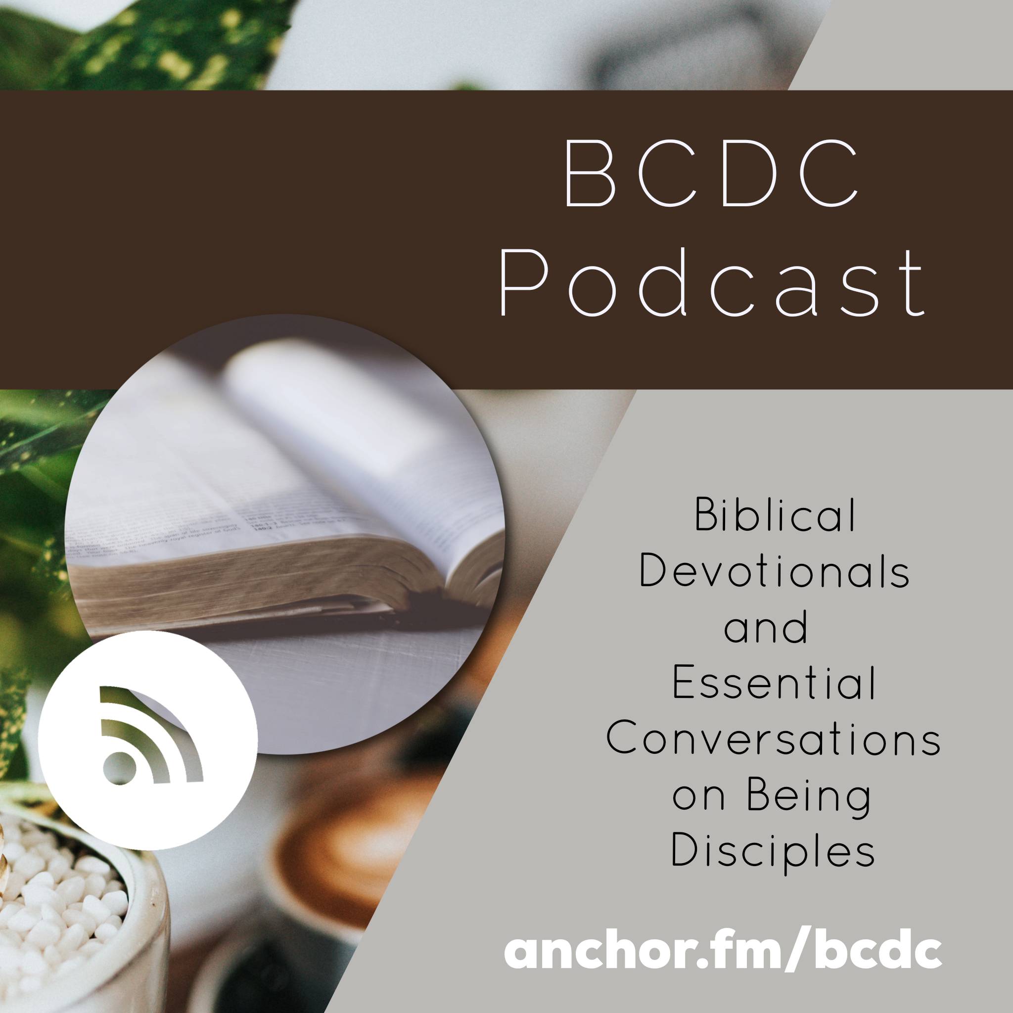 BCDC Podcast